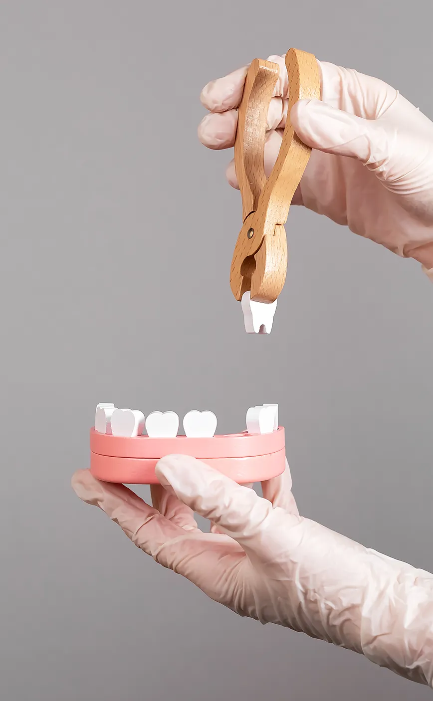 A person with gloved hands uses wooden pliers to extract a paper tooth from a pink dental model, set against a gray background.