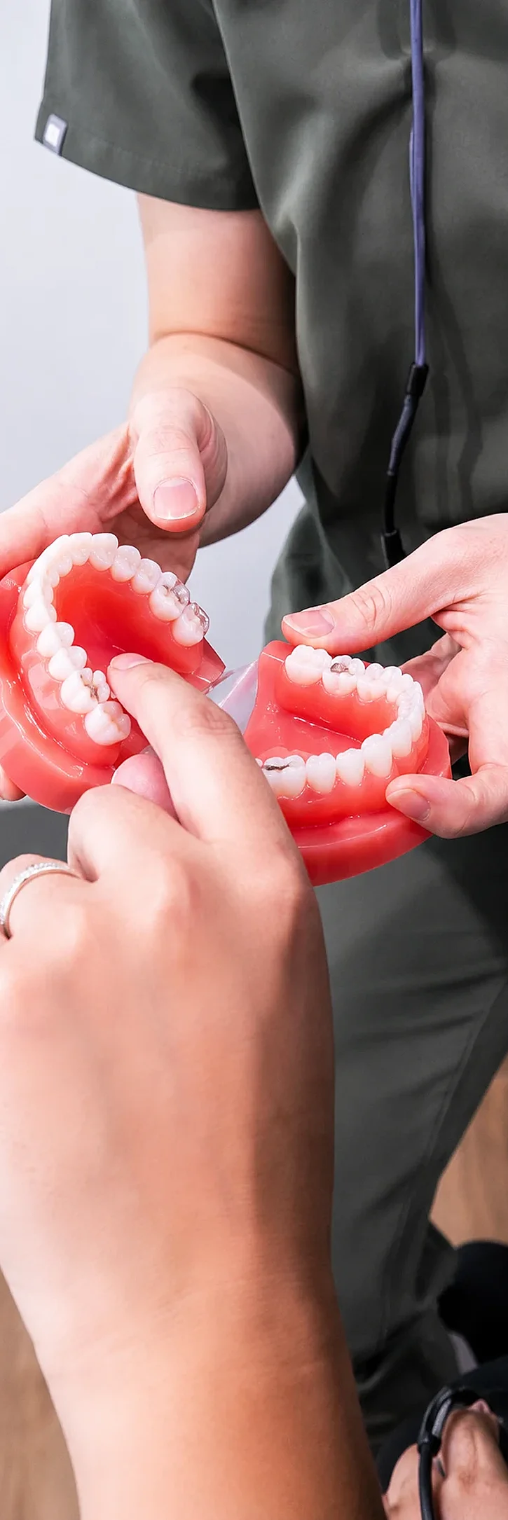 A dental professional holding a dental model of teeth, explaining oral care.