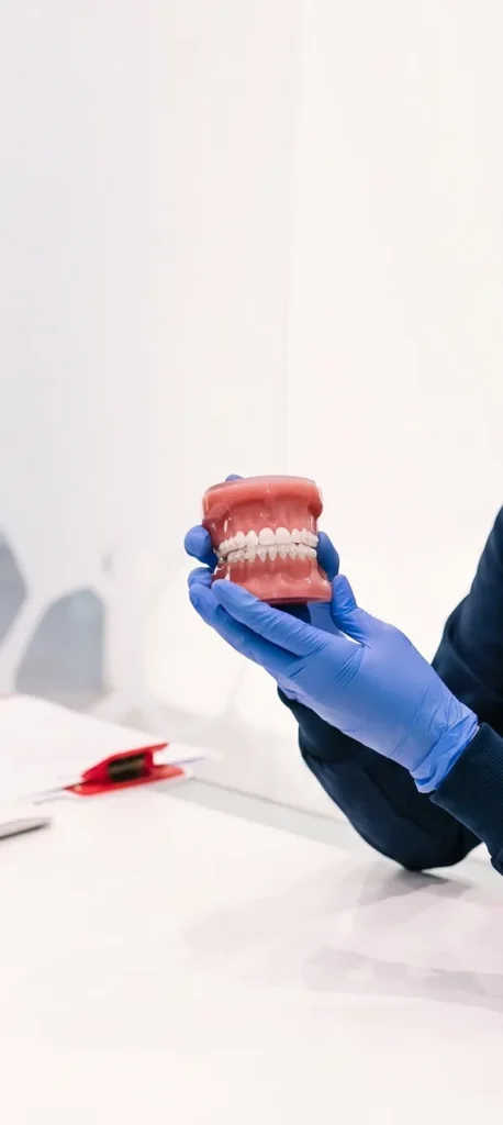 A person wearing blue gloves holds a dental model showcasing white teeth.